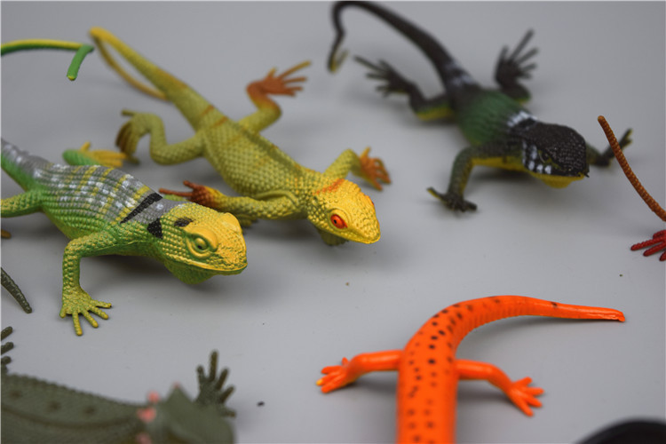 新奇特益智模型玩具 桶装蜥蜴套装12个 塑胶蜥蜴模型动物模型批发