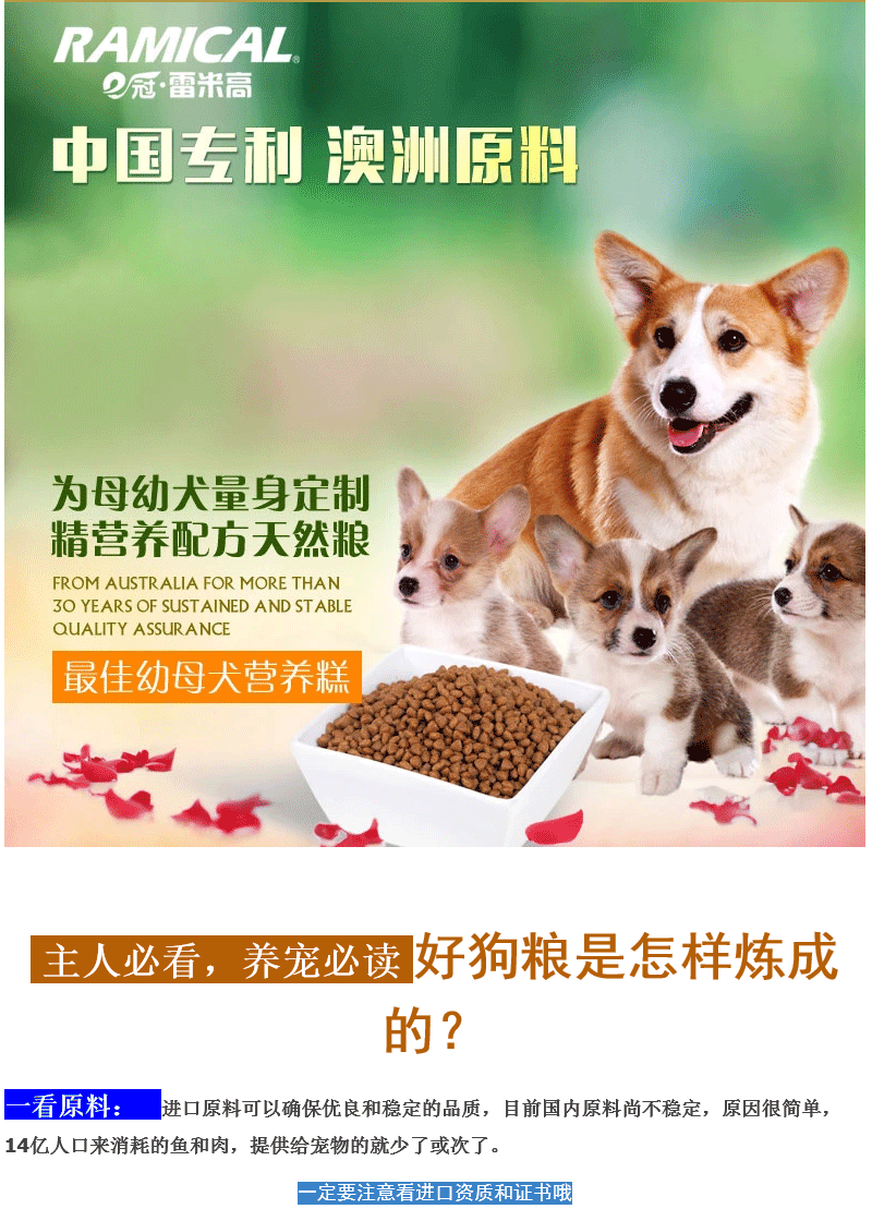 比熊,博美,中型犬雪纳瑞,哈士奇,牛头犬,猎狐梗,大型犬金毛,阿拉斯加