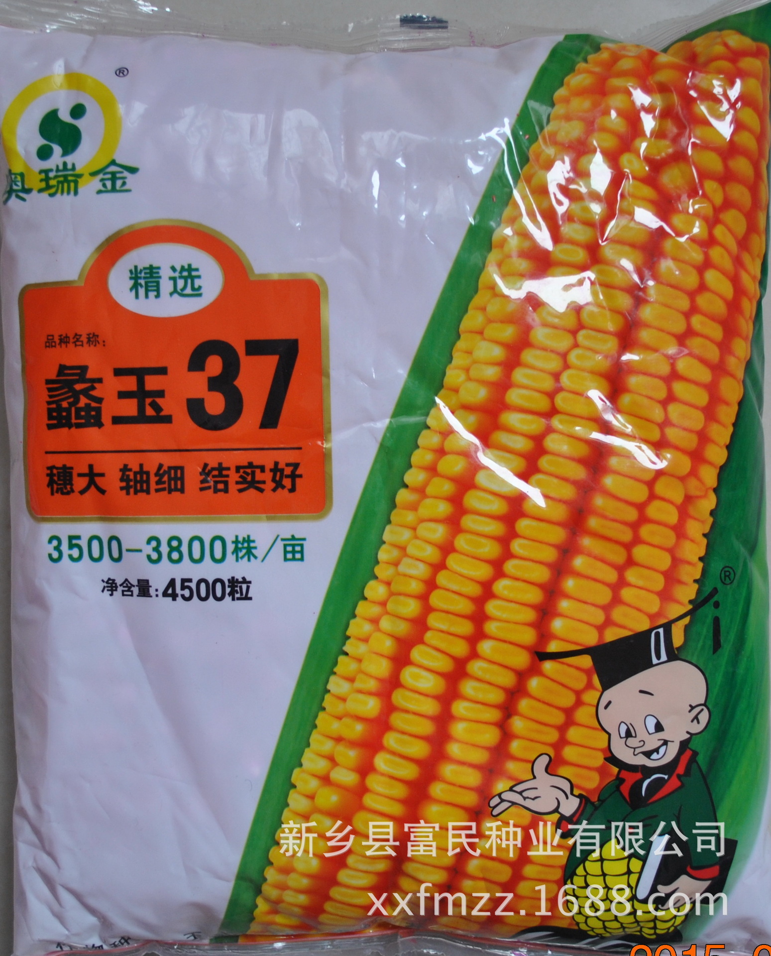 宏硕585玉米种子简介图片