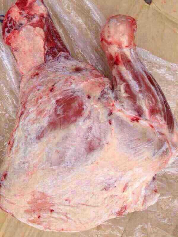 新西兰42厂大羊前四分体 冷冻新鲜进口羊肉 羊腿 羊前四分体 进口