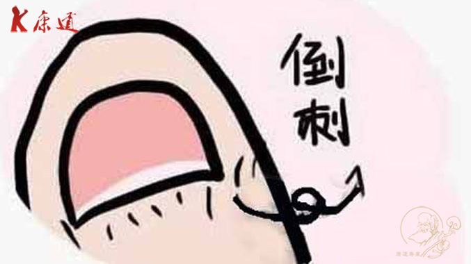 手长倒刺,这是为什么?还不快看看!