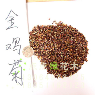 花草种子金鸡菊直销 成活率高 量大优惠 林木种子销售 品种齐全