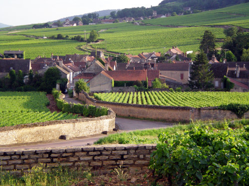 法国勃艮第,香槟产区成功列入联合国教科文组织《世界遗产名录》 - 阿