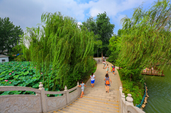 揚州茱萸灣——融自然風光,動植物和現代遊樂為一體的半島生態型動