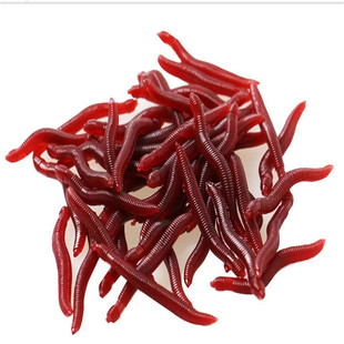 鱼 饵图片_鱼 饵图片大全 - 阿里巴巴海量精选高清图片