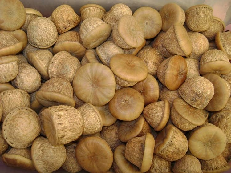 纯正野生风流果 龟头子 补肾果 掉藤果花草茶 补肾强腰 壮阳生精