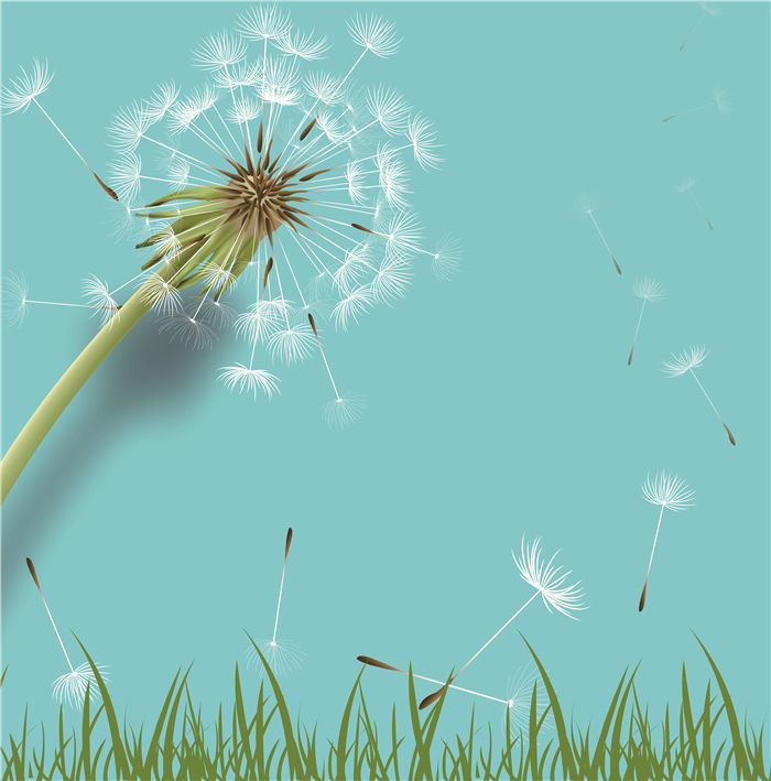 2015新款/3d高清墙纸蒲公英壁纸墙装饰挂画/壁画定制出厂价