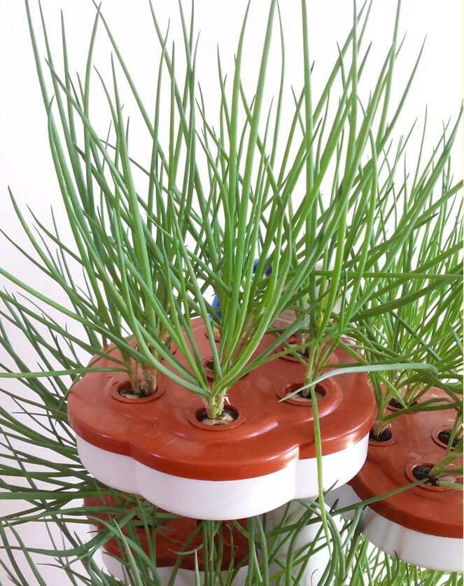 供应立柱式螺旋仿生种植盆立体种菜无土栽培设备水培蔬菜花架阳台