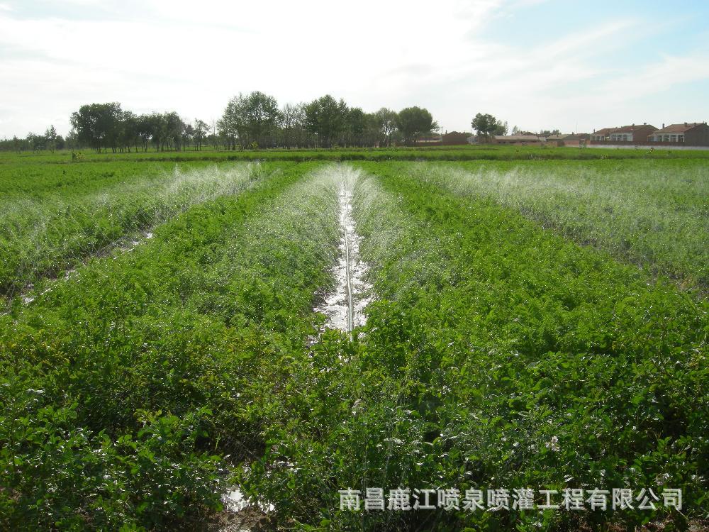 江西農用,苗圃貼片式滴灌帶,噴灌帶,微噴帶,主管帶滴灌帶