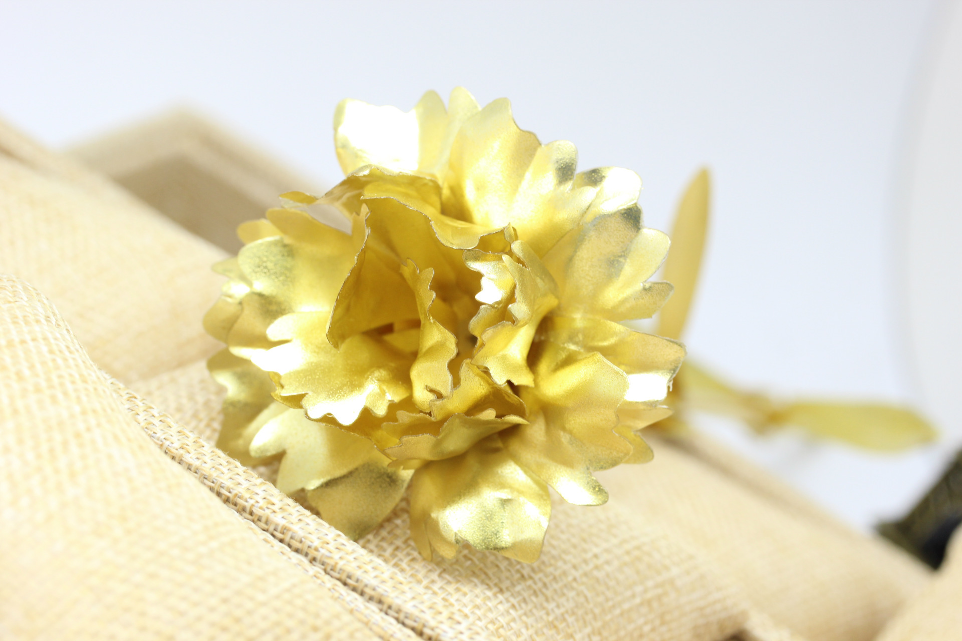 24k金箔康乃馨母亲节妈妈生日礼品