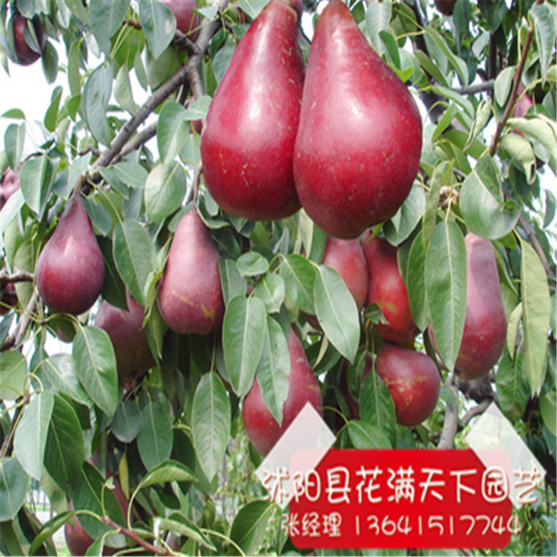  ֱ ʼ޽ Ʒ ͺ