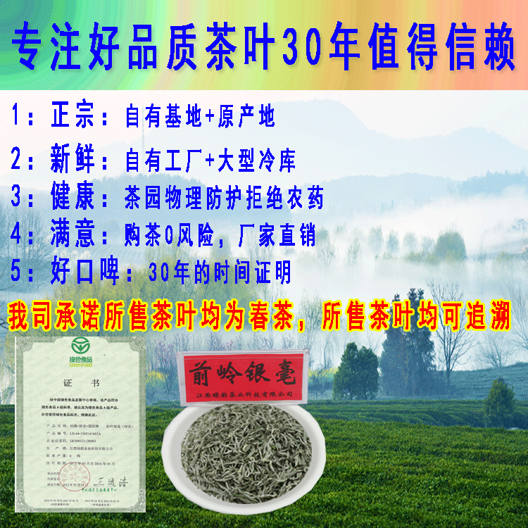 明前茶毛尖春茶 绿茶厂家直销黄马凤凰沟前岭银毫名特50g/罐