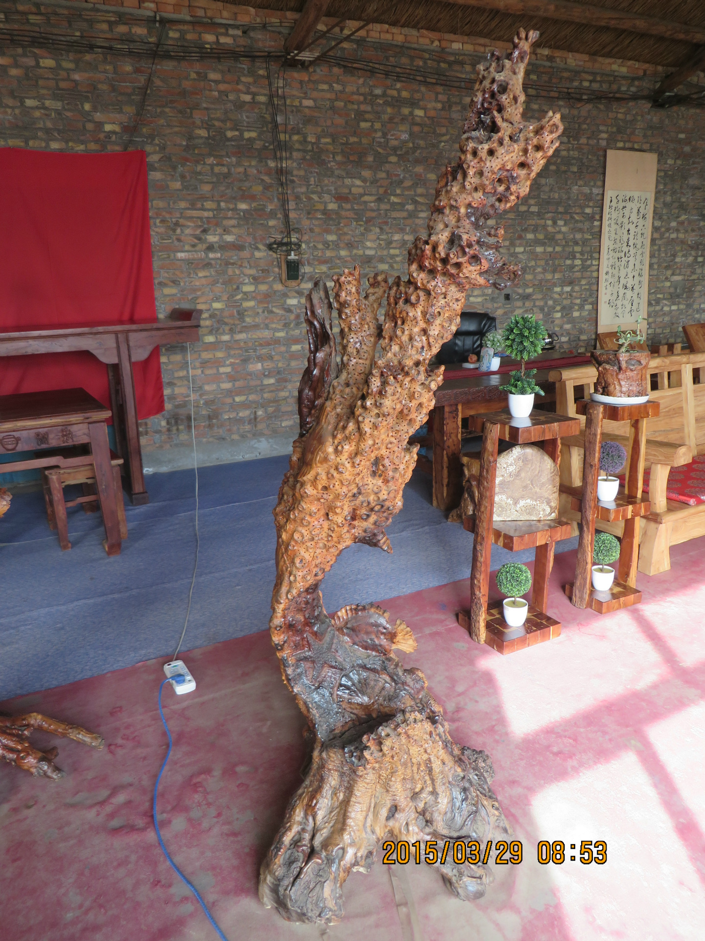 枣木雕刻海兴家居酒店宾馆收藏原生态自然天然摆件博物馆根雕木雕