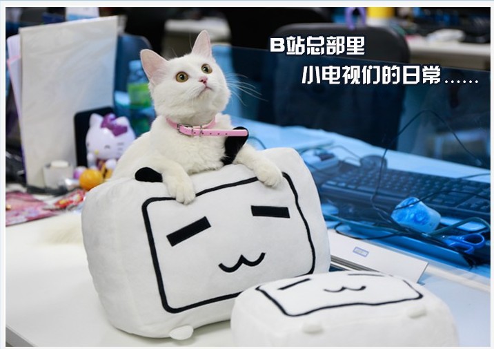 现货哔哩哔哩bilibili小电视毛绒玩具公仔抱枕生日情人节礼物
