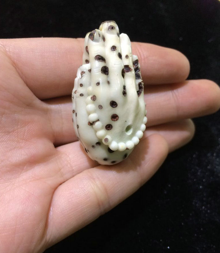 佛手千眼菩提原籽一手货源现货 佛手大小通货千眼菩提佛手批发