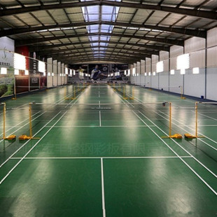 制造 钢结构体育场馆 30米跨羽毛球馆 防火保温 抗震抗风